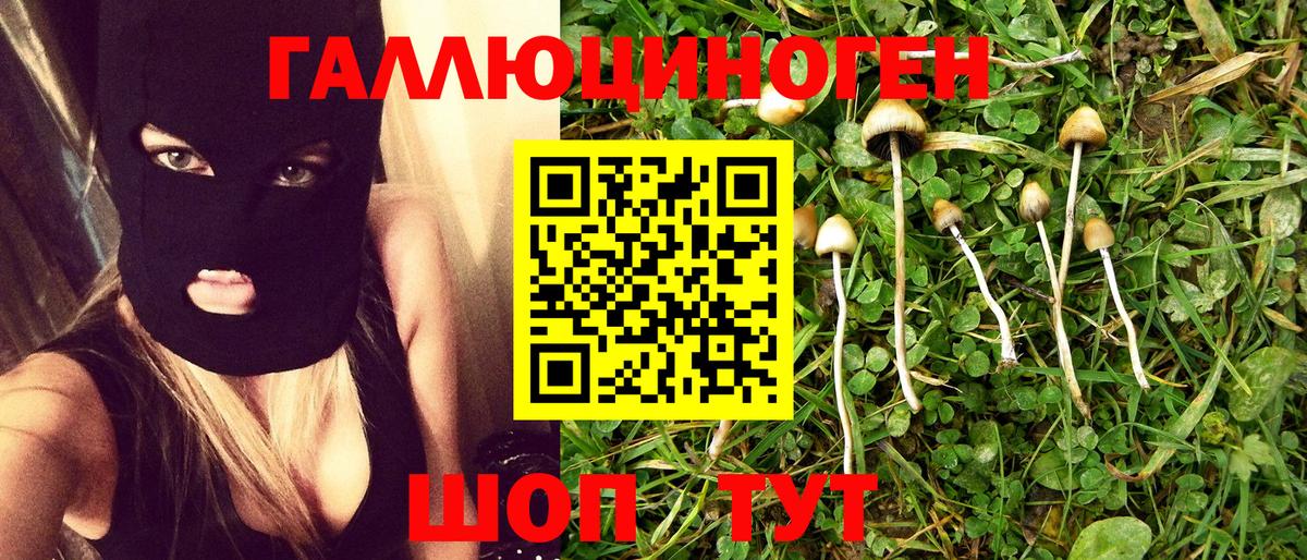 Галлюциногенные грибы MAGIC MUSHROOMS  Вход с VPN  Мичуринск 